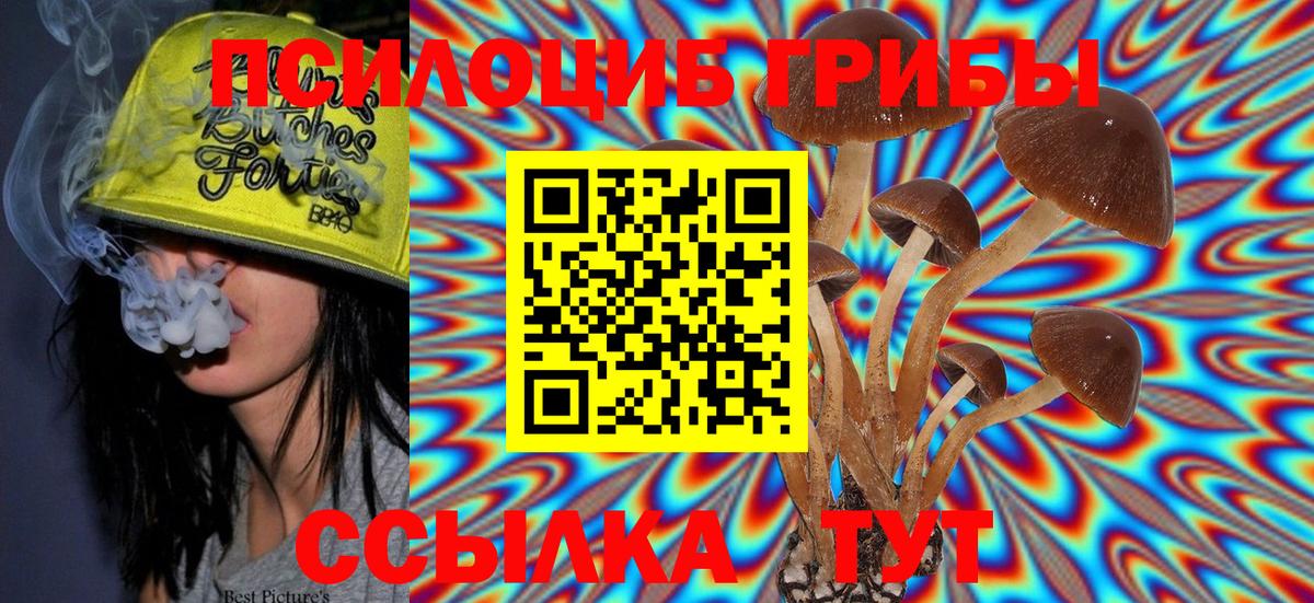 Ульяновск  Псилоцибиновые грибы MAGIC MUSHROOMS  Вход с VPN 