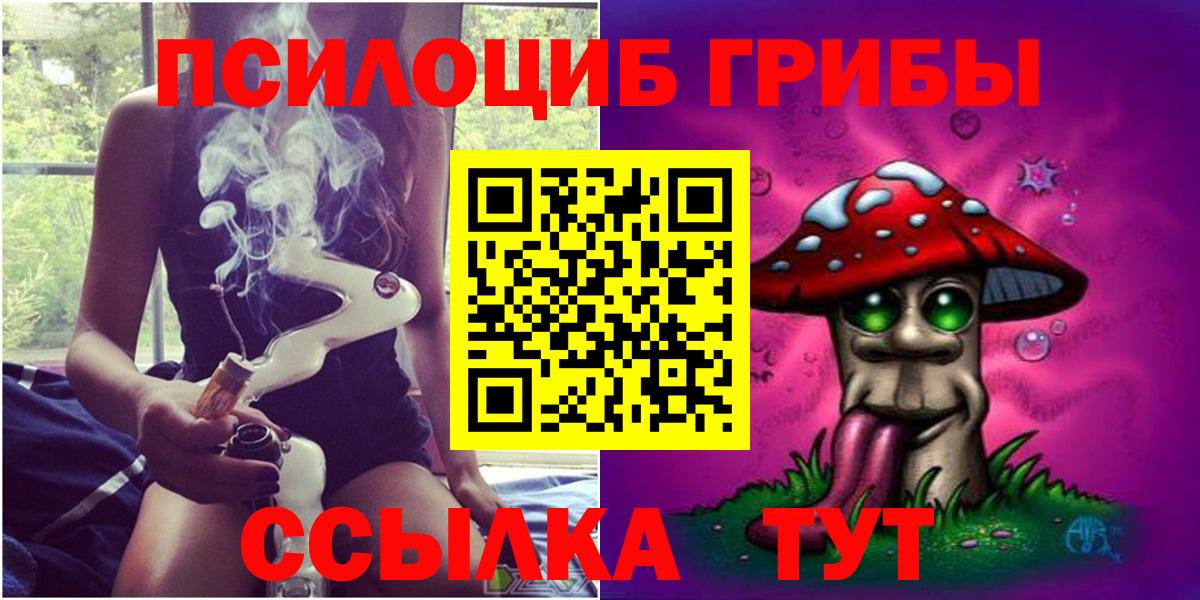 Псилоцибиновые грибы Psilocybe Ульяновск
